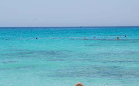 Snorkeling Adventure at Mahmya Island from Hurghada