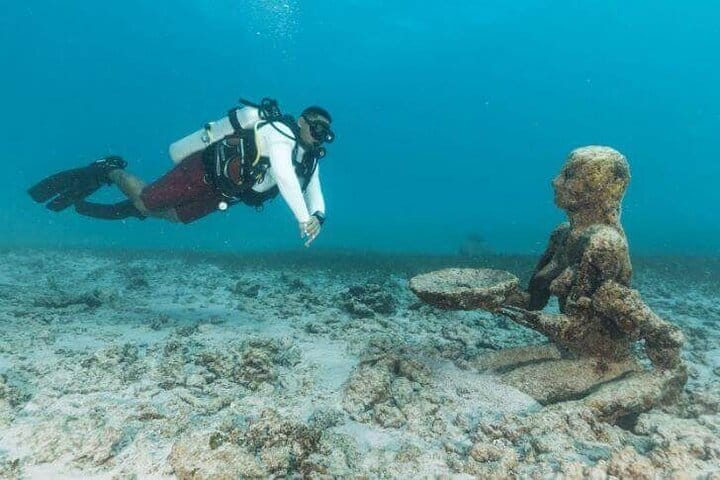 5 tours in 1 (Eco Farm/Horseback/City Tour/Buggy/Zipline)