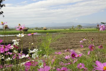 “KAYAK C” 1-Day kayak, Mae Ngat Valley Crossing on Ping River, from Chiang mai