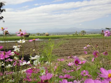 Chiang mai Suthep National Park Leisure Hiking & Mountain Biking