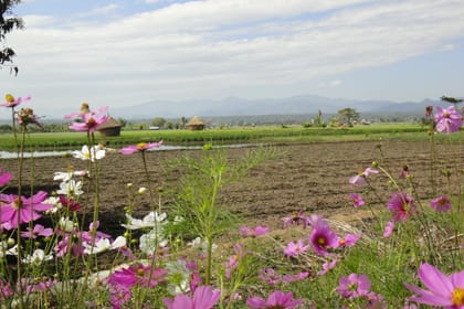 “KAYAK C” 1-Day kayak, Mae Ngat Valley Crossing on Ping River, from Chiang mai