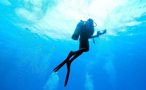 Scuba Diving Adventure in Kuşadası with Professional Guide