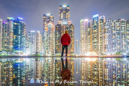Cruise Layover : Small Group Busan Highlight Day Tour