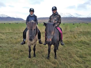 Pleasure in every hoof step, photo 12