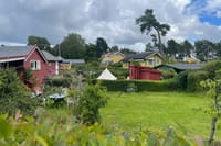 Oslo: 3 hour Island Hopping tour: Cottages, Ruins & Fjord Views 10