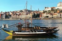 Porto, Lello Bookstore & Clérigos Tower Private Tour From Lisbon 10