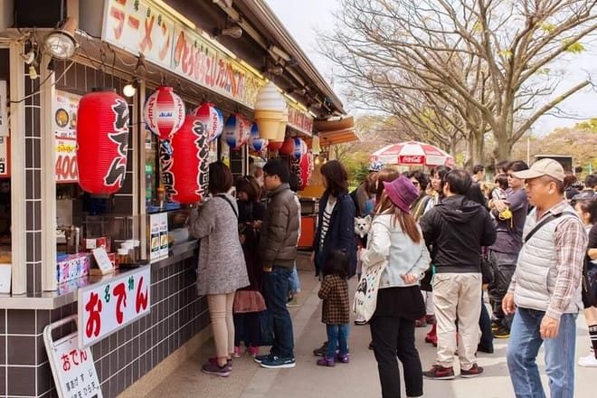 Osaka cherry blossoms tour