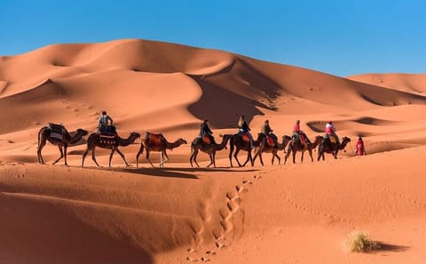 3-Day Adventure Tour from Fez to Marrakech via Erg Chebbi
