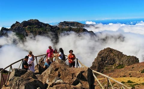 Full-Day 4X4 Tour of Madeira's Peaks from Funchal