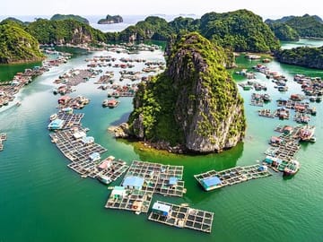 Boutique Cruises to Cat Ba Island & Lan Ha Bay from Hanoi (2D1N)