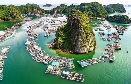 Boutique Cruises to Cat Ba Island & Lan Ha Bay from Hanoi (2D1N)