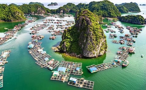 Boutique Cruises to Cat Ba Island & Lan Ha Bay from Hanoi (2D1N)