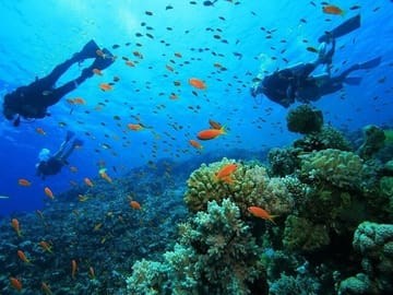 Antalya Scuba Diving & Snorkeling Tour with Lunch