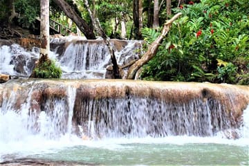 Guided Tour of Dunn's River Falls and Luminous Lagoon from Falmouth