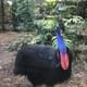 Bird Park