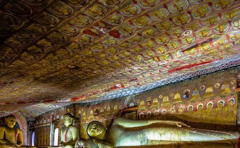 Dambulla and Polonnaruwa Ancient City Day Tour from Colombo