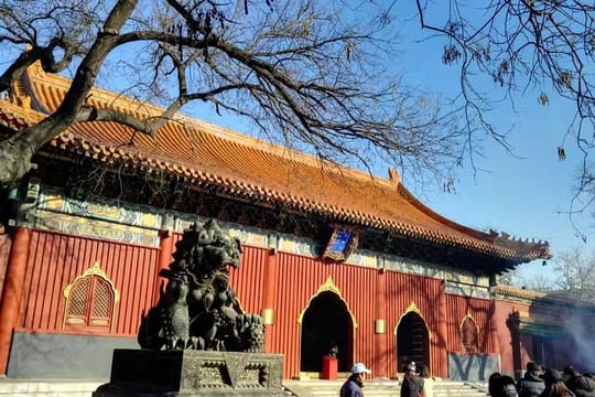 Private Beijing Day Tour: Lama Temple, Summer Palace and The Old Summer Palace