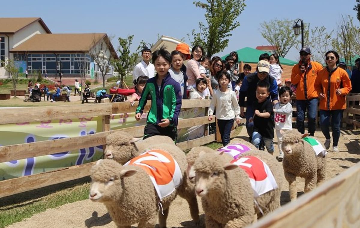Private Full day Tour Anseong Farm Land with Gwangmyeong Cave