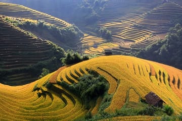 Adventure to Mu Cang Chai Rice Fields 3 days 2 nights