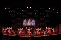 Side: Fire of Anatolia Show at Ancient Aspendos Arena 6