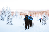Ski Trekking Adventure in Lapland