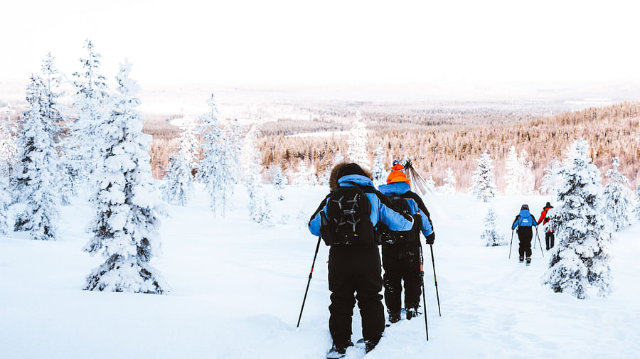 Ski Trekking Adventure in Lapland
