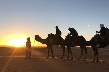 3-Day Marrakech to Merzouga Desert Safari with Camel Rides