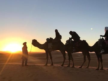 CAMEL TREK
