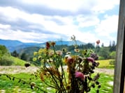 Gela Tours & Activities 8