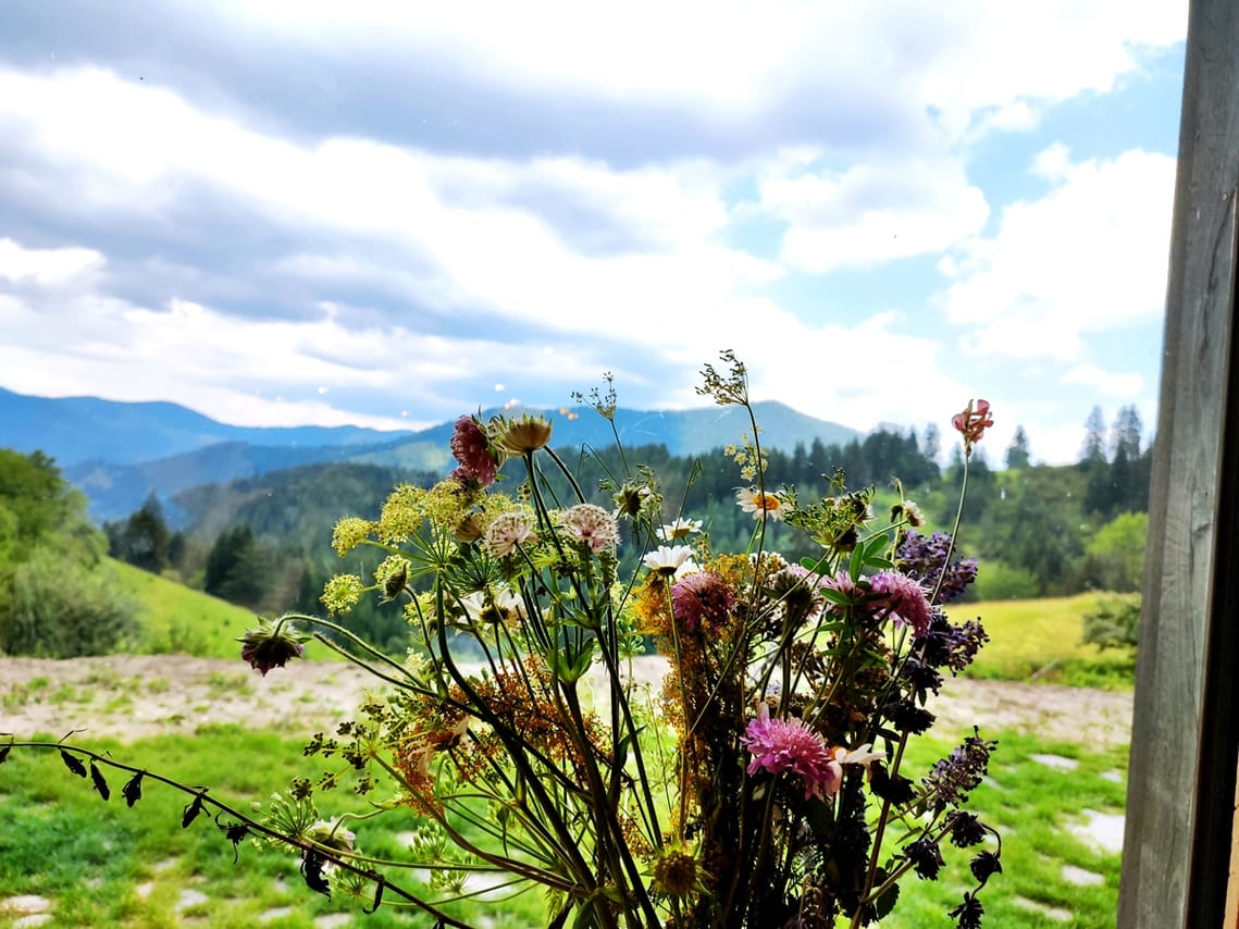 Gela Tours & Activities 8