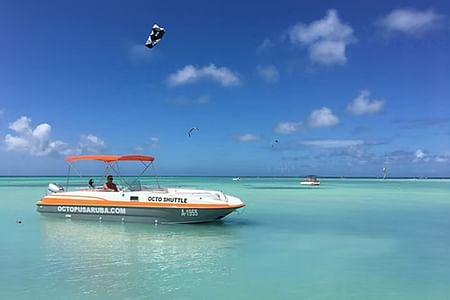 Private Snorkeling Adventure on a Bayliner in Aruba's Crystal Waters