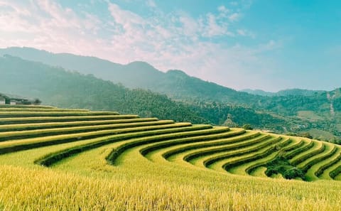 Ha Giang 2-Day Tour: Explore Hoang Su Phi's Culture and Nature