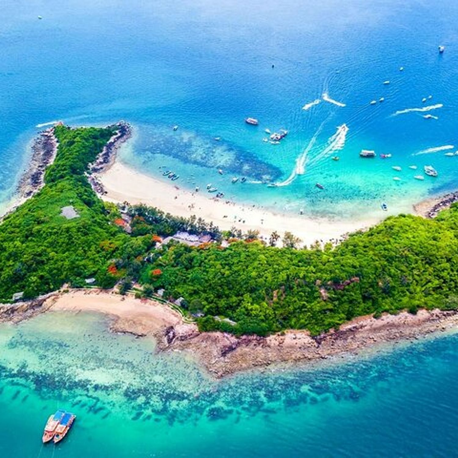 Speedboat Tour From Pattaya To Koh Larn Coral Sak Island point-lonsdale-lighthouse-tours-tickets-point-lonsdale-lighthouse