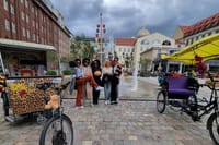 Day trip through multicultural city landscapes & photo highlights 4