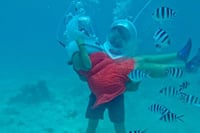 Zanzibar Under Water Sea Walk 10