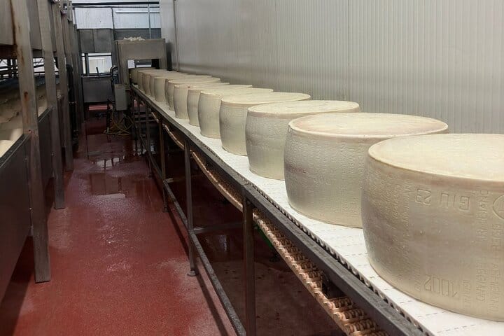 Parmesan and Balsamic Food Tasting Tour with Ferrari Museum 4