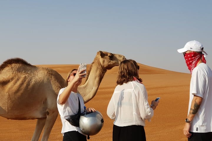 Lucky Camel Selfie