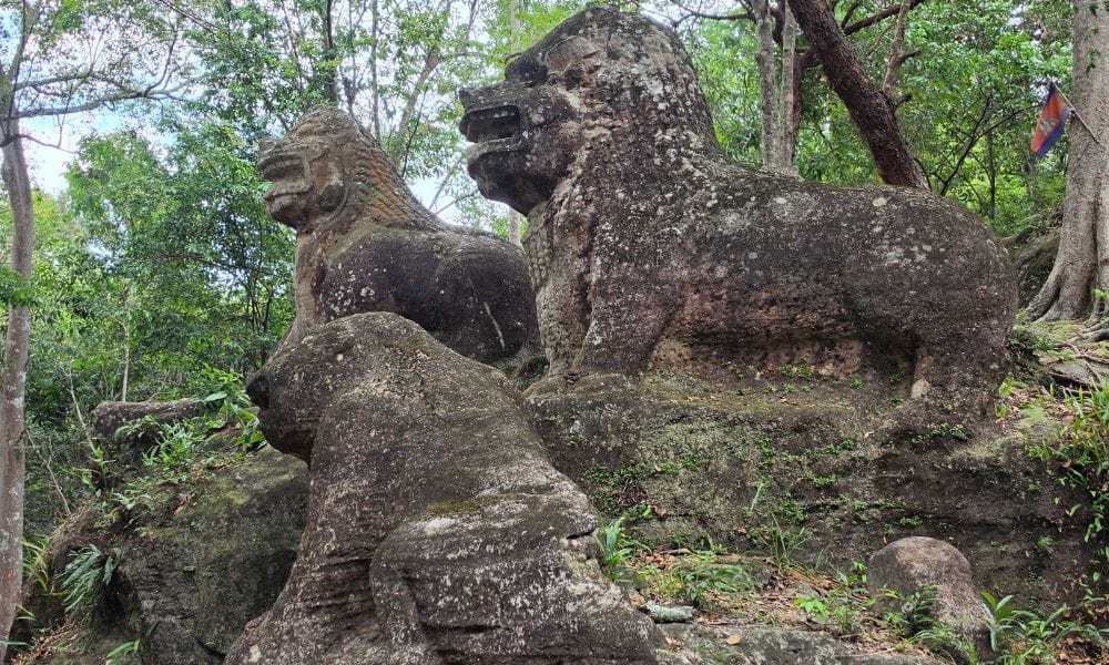 Giant Ibis Discovery & Angkor Heritage Tour (9 Days/ 8Nights) 7
