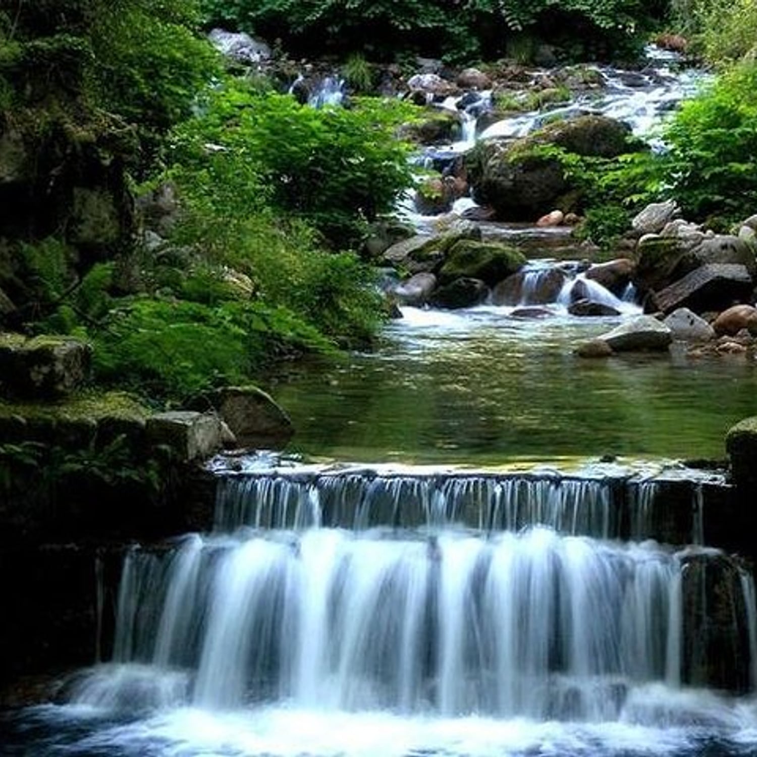 Peneda-Gerês National Park Private Tour