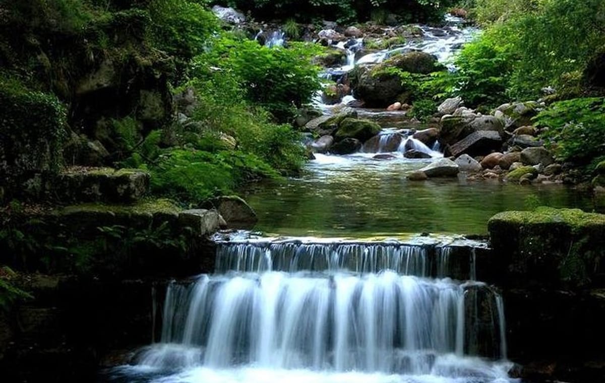 Peneda-Gerês National Park Private Tour