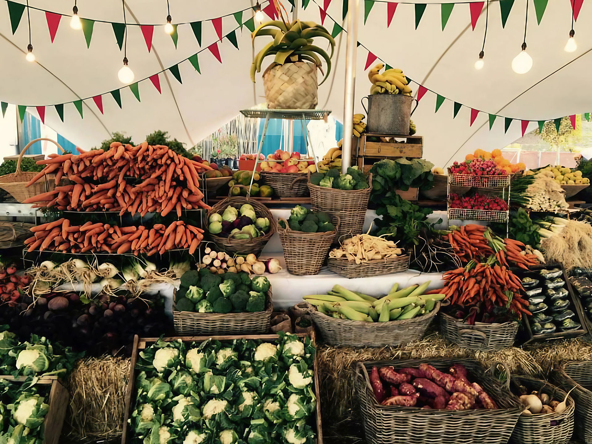 Cape Town food markets with Greenmarket Square experience. Cape Town. Guided