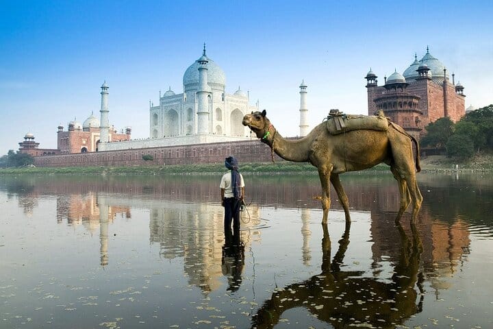 Agra in a Day: Private Day Tour from Cochin 6