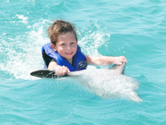 Dolphin Swim Adventure at Dolphin Discovery Grand Cayman photo 2