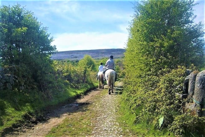 Horse riding the Burren dirt trail. Clare. Guided. 1 hour 5