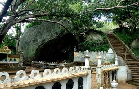 Pidurangala Rock Day Tour from Anuradhapura to Dambulla