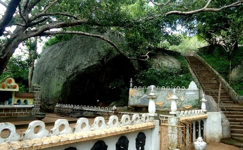 Pidurangala Rock Day Tour from Anuradhapura to Dambulla