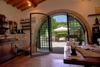 Lunch in Organic Farm Private Tour: Food & Wine Experience in Tuscany	 3