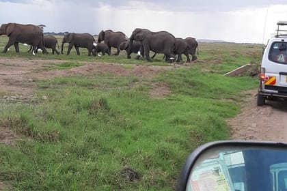 8 Days Mombasa, Tsavo East, Amboseli, Naivasha & Masai Mara Safari