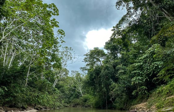 Adventure Tour to Regalias Waterfall in Pucallpa, Peru