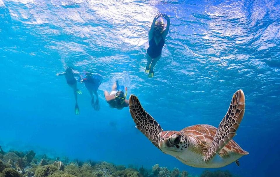 Abu Dabab Semi-Private Trip with tickets & lunch from Hurghada